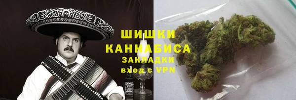 хмурый Ладушкин