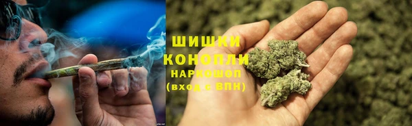 трава Абаза
