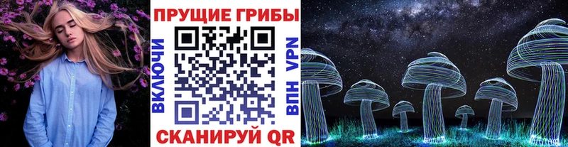 кракен вход  Вологда  Псилоцибиновые грибы прущие грибы 
